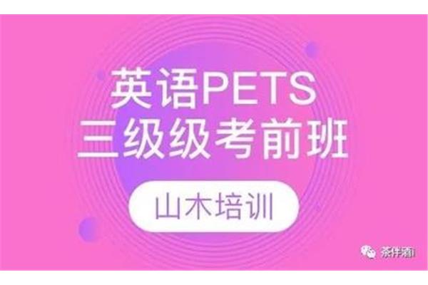 pets考试时间