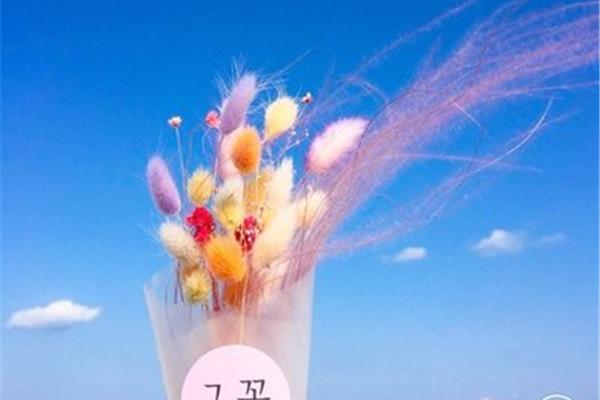 风景照片配文字