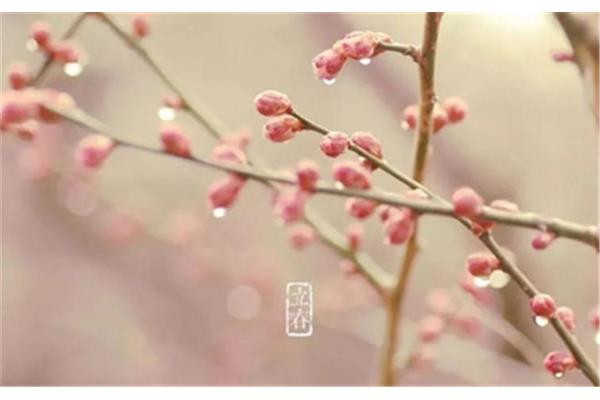 和春有关的诗句