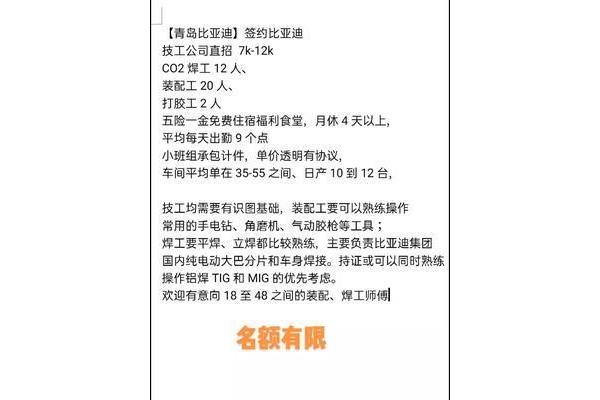 比亚迪招聘信息