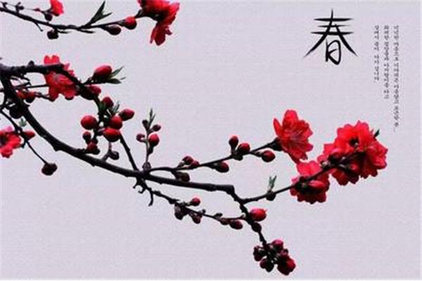 和春有关的诗句