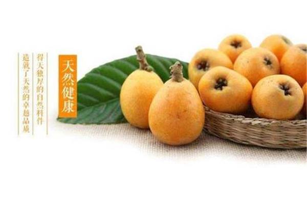 枇杷的功效和作用