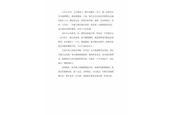 一件伤心事作文