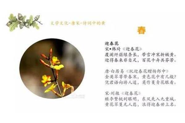 带雪的诗词