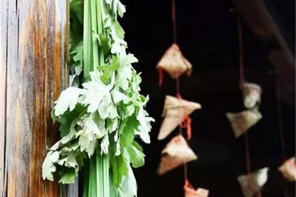 端午节的习俗
