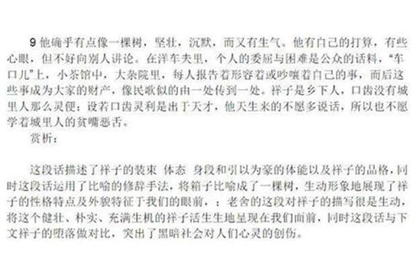 摘抄加赏析