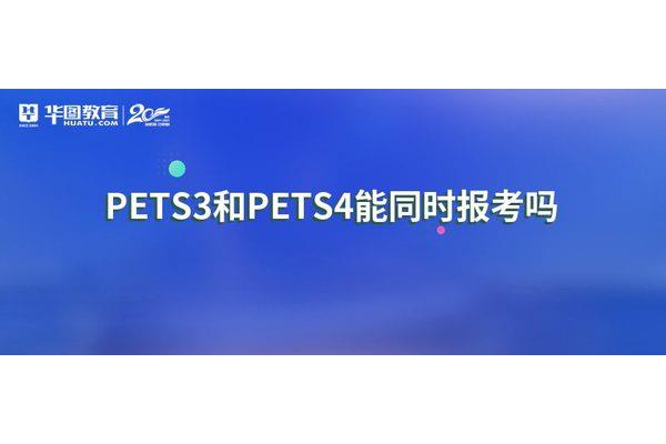 pets考试时间