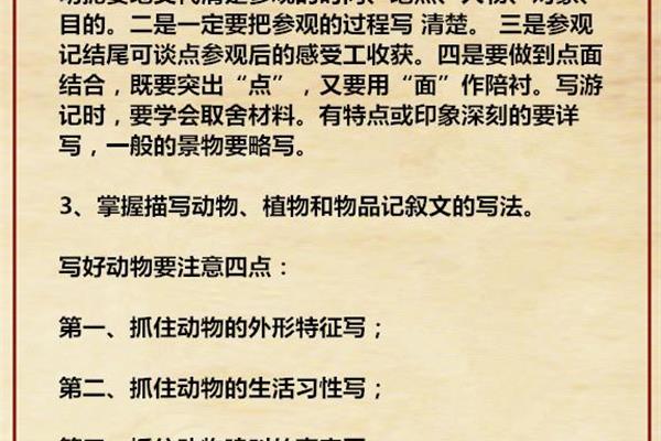 游记开头怎么写