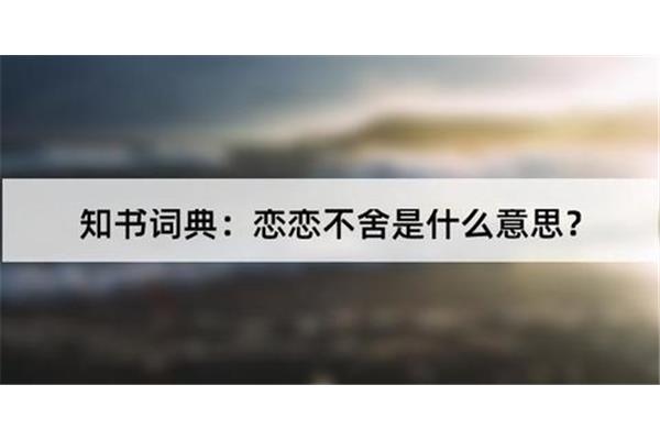 不舍是什么意思