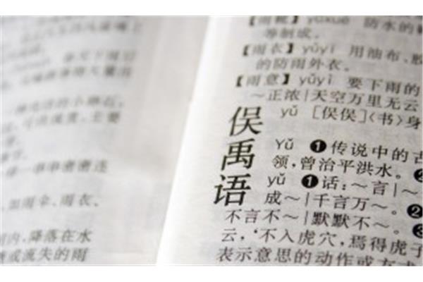领的部首是什么