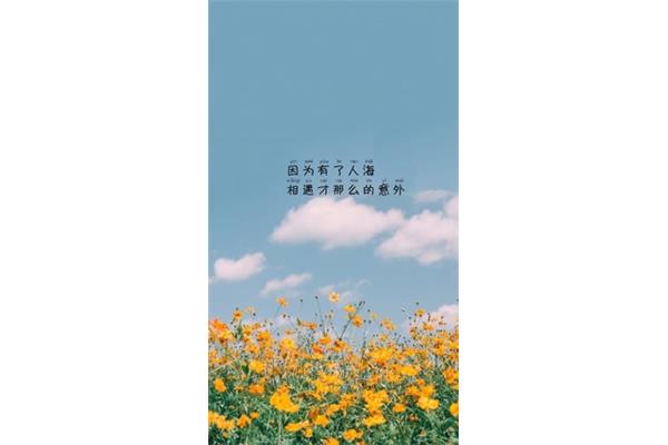 美丽的遇见