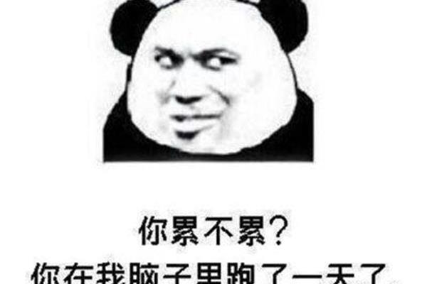 不是这样的