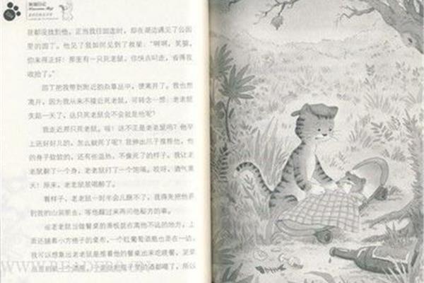 蓝色的兔耳朵草