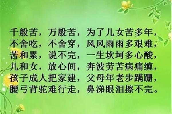 不舍是什么意思