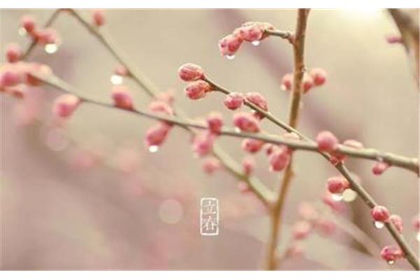 什么时候打春