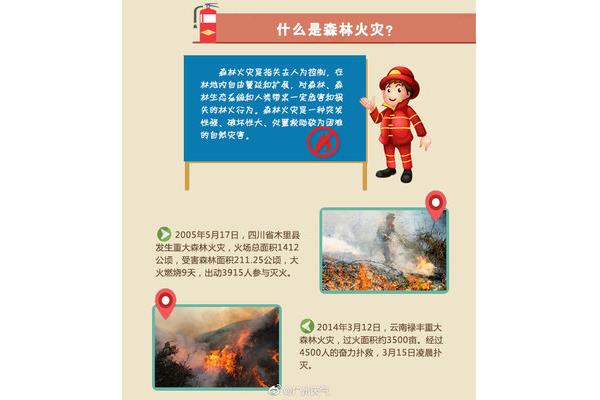什么是火灾