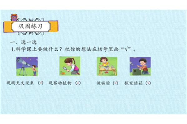 一年级学什么