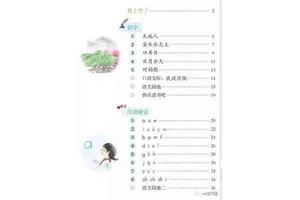 一年级学什么
