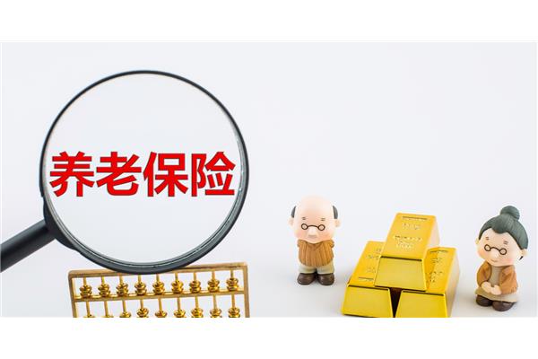 养老保险关系