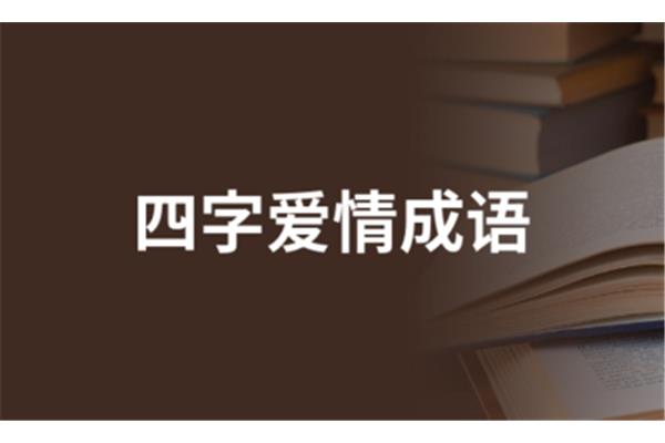 爱情的四字成语