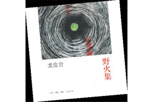 龙应台的儿子