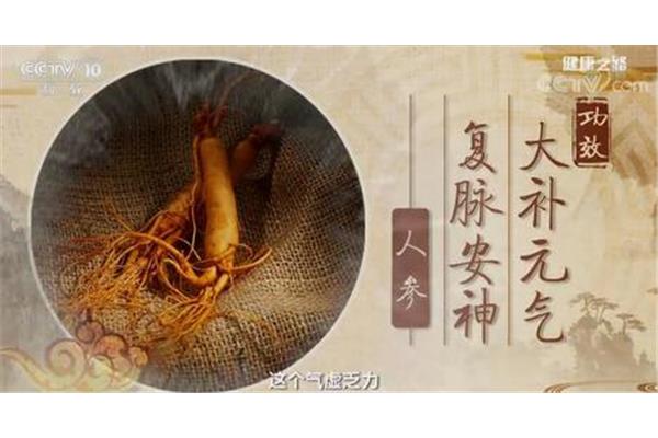 十大补血中药材