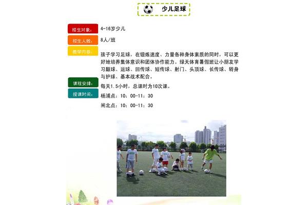 体育教学内容