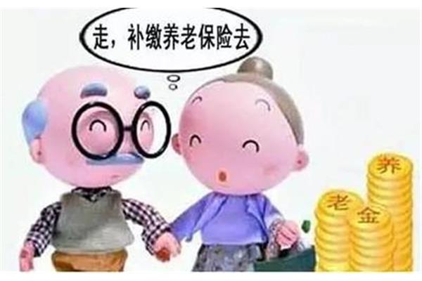 养老保险关系