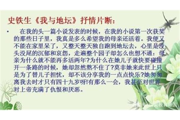 我的优势怎么写