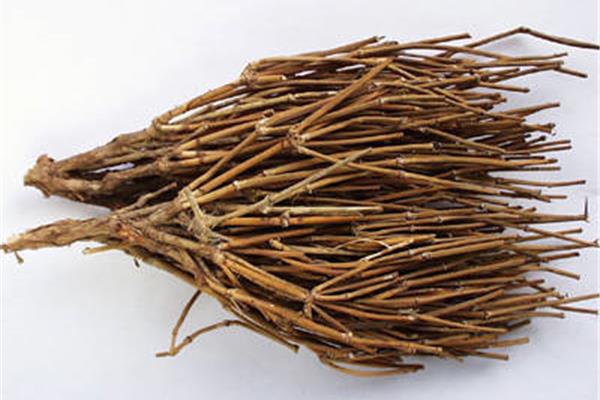 麻黄的功效与作用