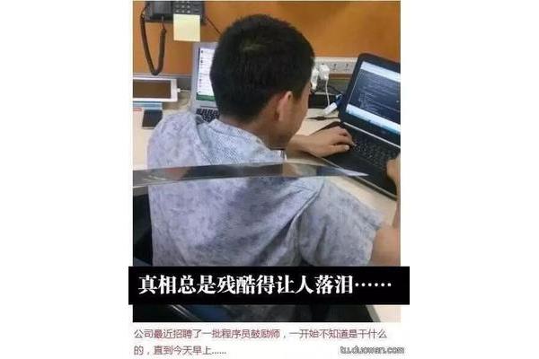 程序员是干什么的