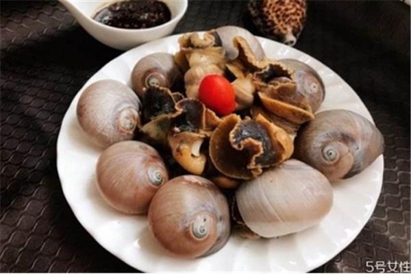 什么样的海螺