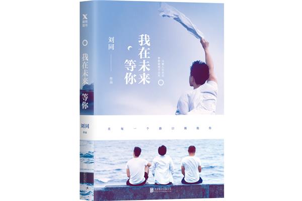 我在未来等你小说