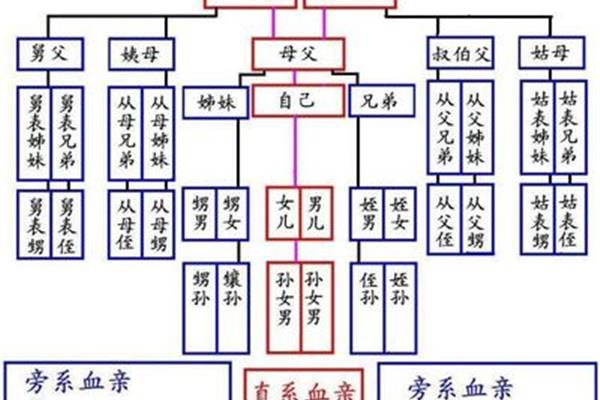 称呼大全表
