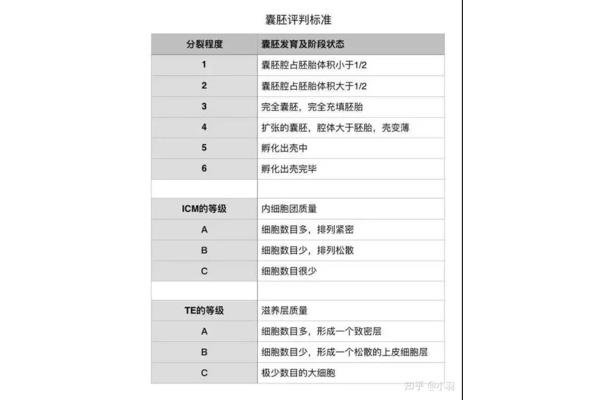 医师等级划分