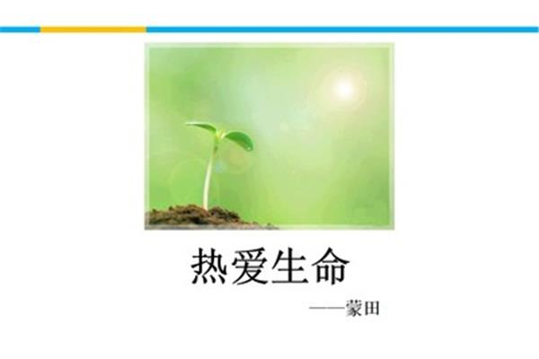热爱生命蒙田