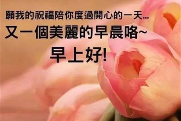 周三早安问候语