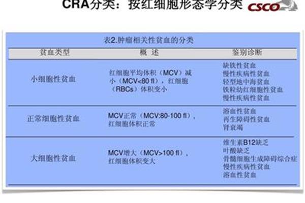 贫血的类型