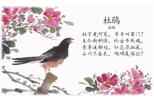 与鸟有关的诗句