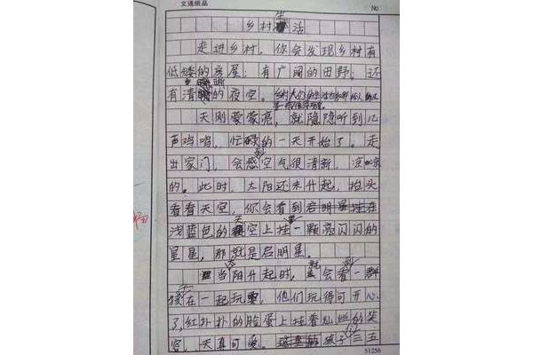 关于做饭的作文