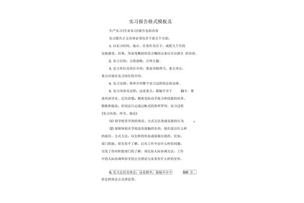 见习报告格式