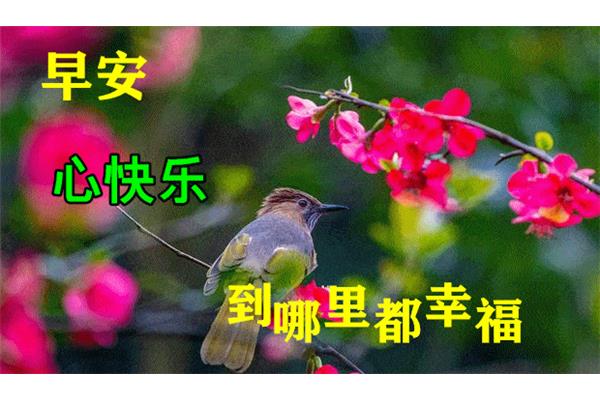 周三早安问候语