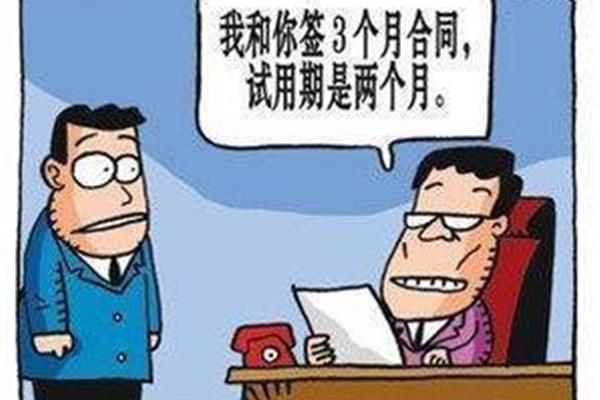 试用期3个月