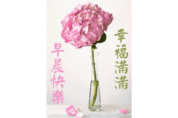 周三早安问候语