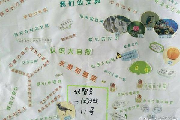 识字小报二年级