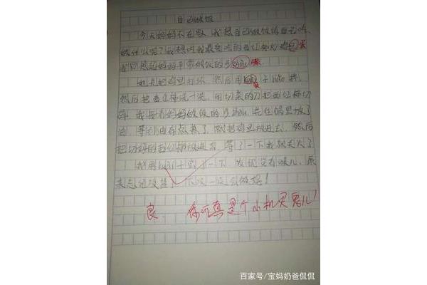 关于做饭的作文