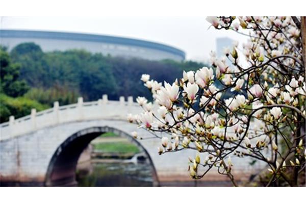校园春色综合
