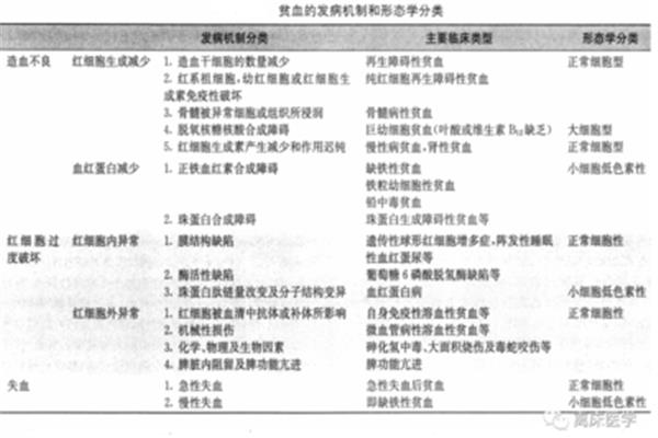 贫血的类型