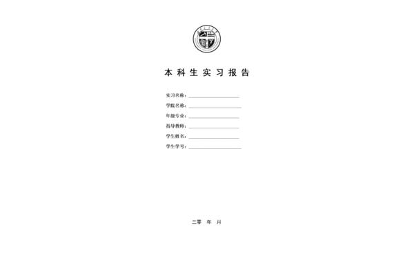 见习报告格式