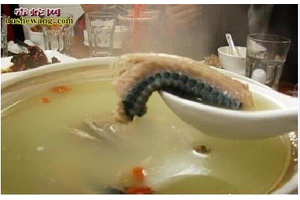 蛇怎么做好吃